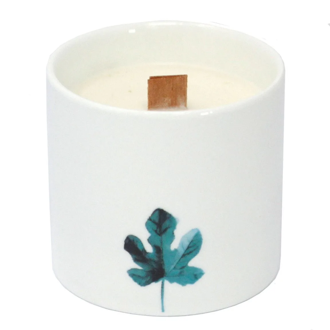 Botanická Svíčka - Velká - Fialka