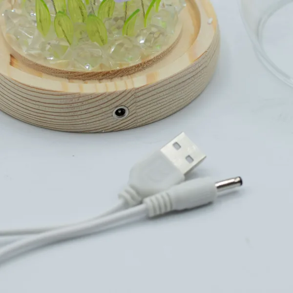 Svítící Květinová Zahrádka v Kopuli - 20 Tulipánů - LED, USB