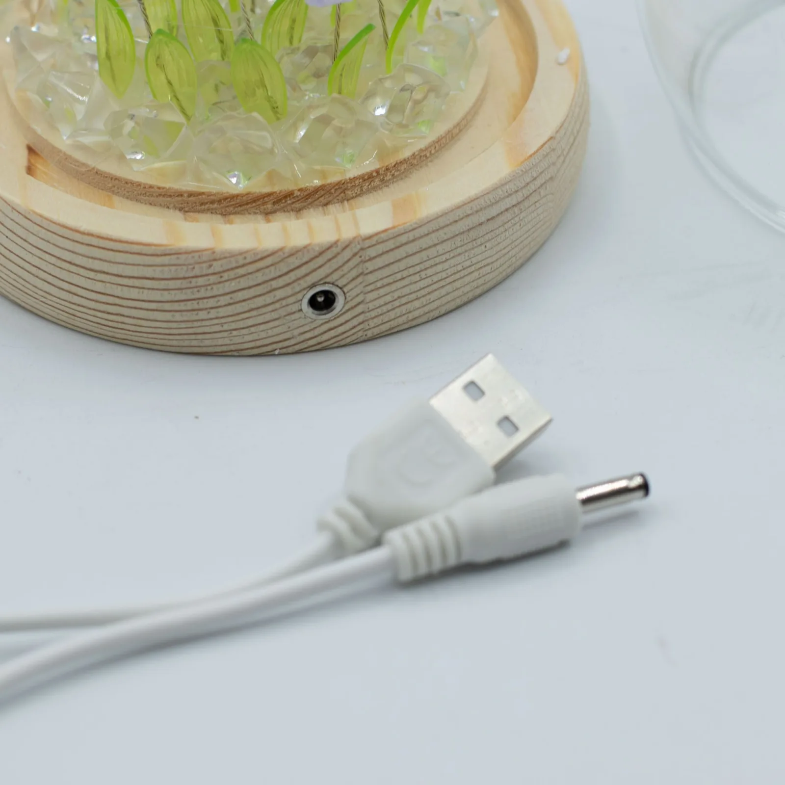 Svítící Květinová Zahrádka v Kopuli - 20 Tulipánů - LED, USB