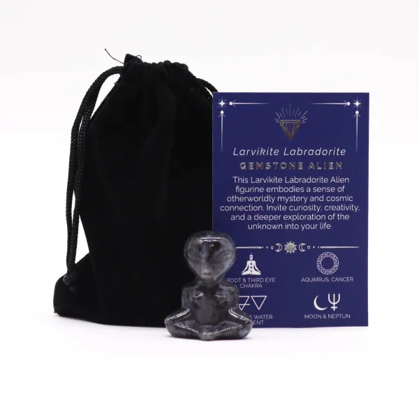 Mimozemšťan z Drahých Kamenů - Larvikit Labradorit 40x30x15mm