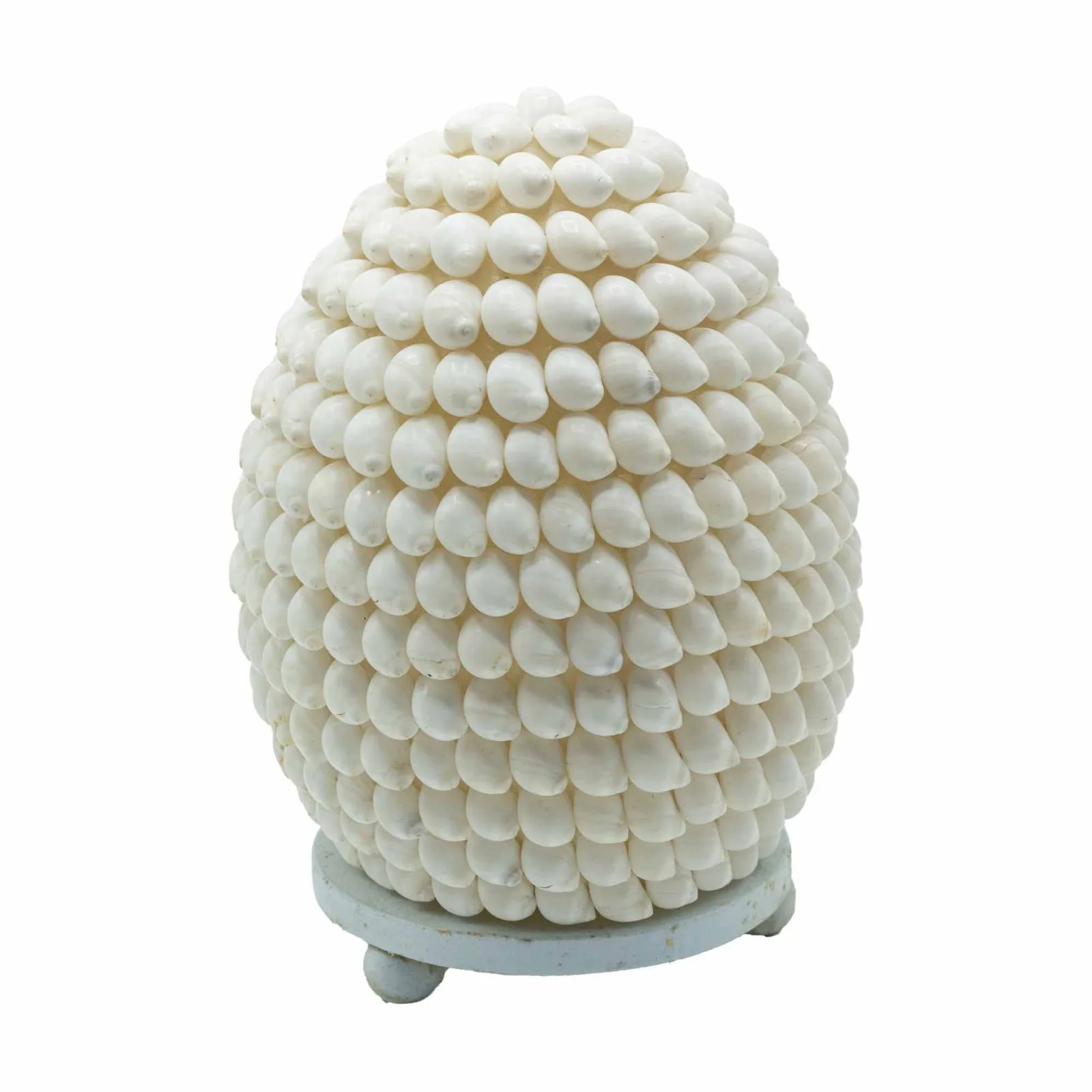 Boho Lampa z Mořských Mušlí - Oválná Buting Mušle - 15cm